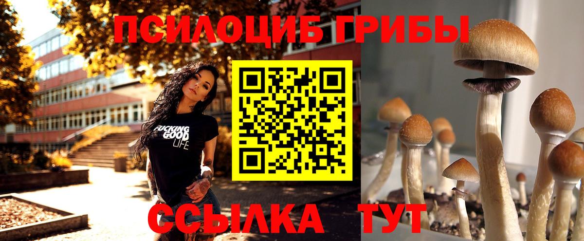 Псилоцибиновые грибы мухоморы  Галлюциногенные грибы Psilocybe  Вход с VPN  Саранск 