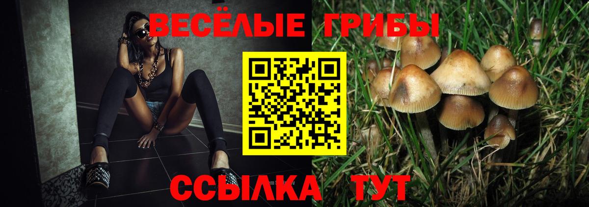 Псилоцибиновые грибы мухоморы Саранск