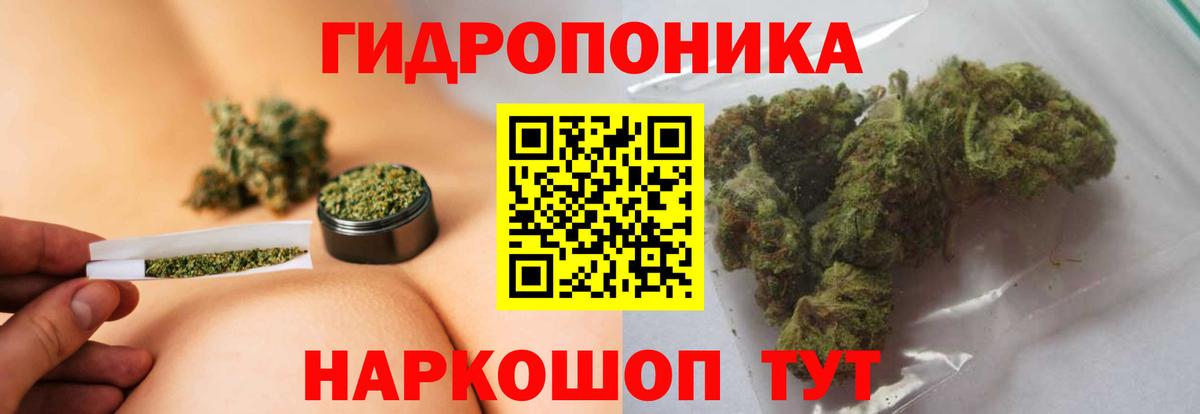 Бошки марихуана THC 21% Саранск